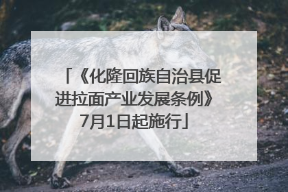 《化隆回族自治县促进拉面产业发展条例》7月1日起施行