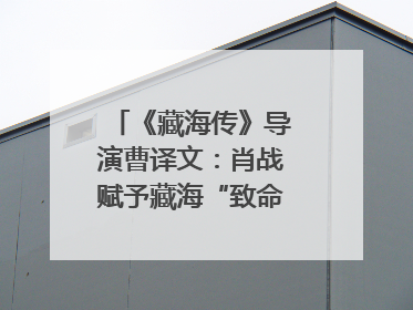 《藏海传》导演曹译文：肖战赋予藏海“致命”吸引力