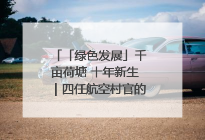 「绿色发展」千亩荷塘 十年新生｜四任航空村官的“生态接力”