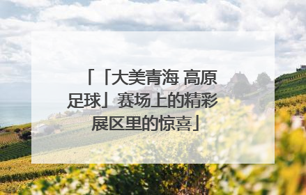 「大美青海 高原足球」赛场上的精彩 展区里的惊喜