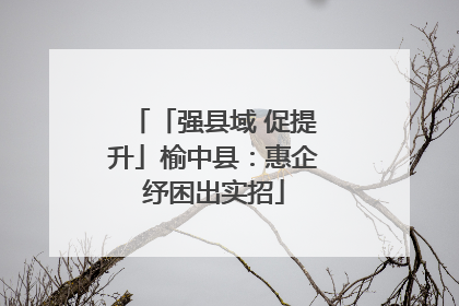 「强县域 促提升」榆中县：惠企纾困出实招