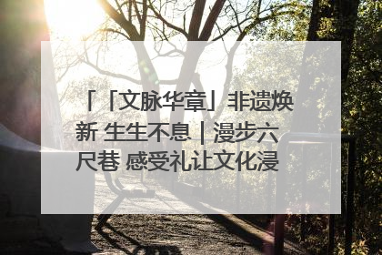 「文脉华章」非遗焕新 生生不息｜漫步六尺巷 感受礼让文化浸润的“巷”往生活