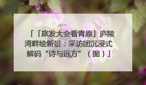 「旅发大会看青原」庐陵湾畔绘新景：采访团沉浸式解码“诗与远方”（图）