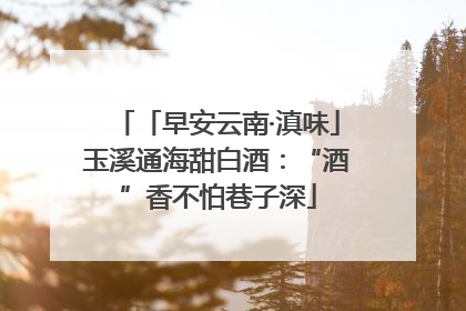 「早安云南·滇味」玉溪通海甜白酒：“酒”香不怕巷子深
