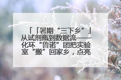 「暑期“三下乡”」从试剂瓶到数据流——化环“鲁诺”团把实验室“搬”回家乡，点亮桑梓求知路