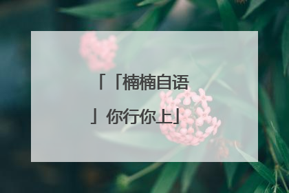 「楠楠自语」你行你上