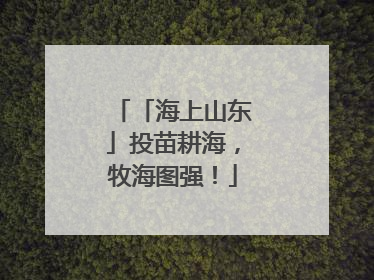 「海上山东」投苗耕海，牧海图强！