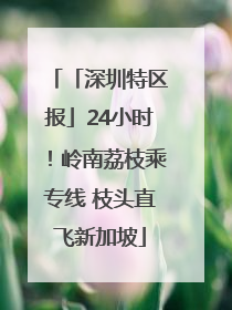「深圳特区报」24小时！岭南荔枝乘专线 枝头直飞新加坡