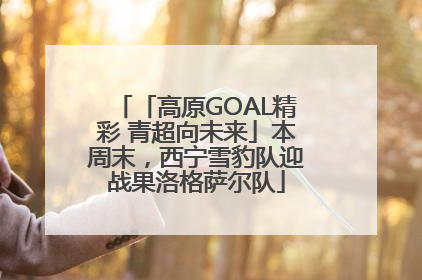 「高原GOAL精彩 青超向未来」本周末，西宁雪豹队迎战果洛格萨尔队