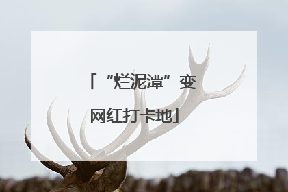 “烂泥潭”变网红打卡地
