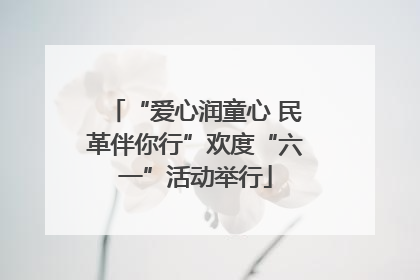“爱心润童心 民革伴你行”欢度“六一”活动举行