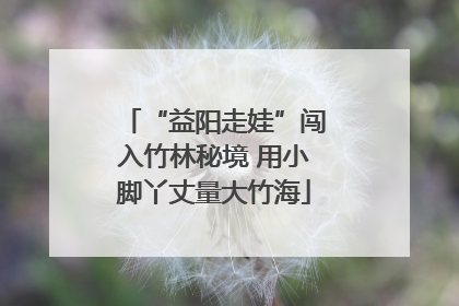 “益阳走娃”闯入竹林秘境 用小脚丫丈量大竹海