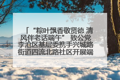 “粽叶飘香敬贤德 清风伴老话端午” 致公党李沧区基层委携手兴城路街道四流北路社区开展端午节主题活动