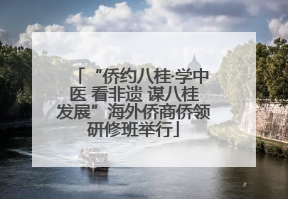 “侨约八桂·学中医 看非遗 谋八桂发展”海外侨商侨领研修班举行