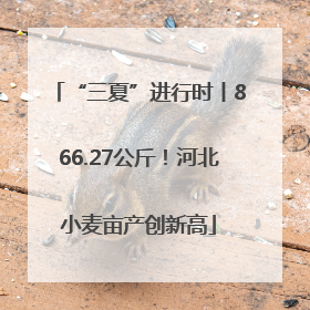 “三夏”进行时丨866.27公斤！河北小麦亩产创新高