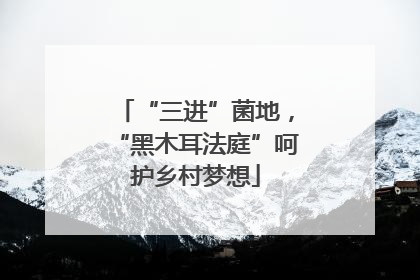 “三进”菌地，“黑木耳法庭”呵护乡村梦想