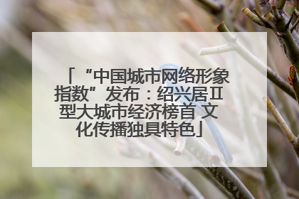 “中国城市网络形象指数”发布：绍兴居Ⅱ型大城市经济榜首 文化传播独具特色