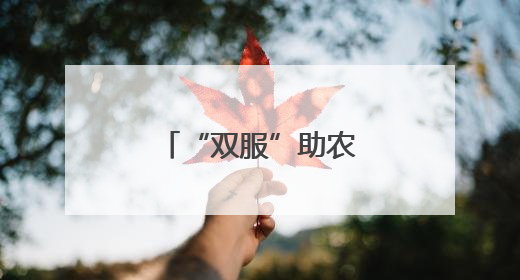 “双服”助农到田头 护航“三夏”正当时