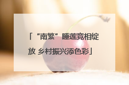 “南繁”睡莲竞相绽放 乡村振兴添色彩