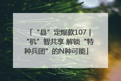 “县”定爆款107｜“机”智共享 解锁“特种兵团”的N种可能