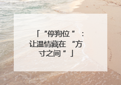 “停狗位 ”：让温情藏在 “方寸之间 ”