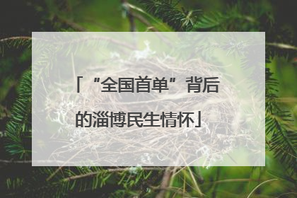 “全国首单”背后的淄博民生情怀