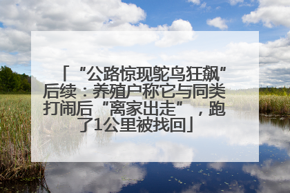 “公路惊现鸵鸟狂飙”后续：养殖户称它与同类打闹后“离家出走”，跑了1公里被找回