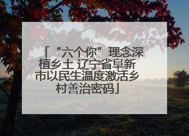 “六个你”理念深植乡土 辽宁省阜新市以民生温度激活乡村善治密码