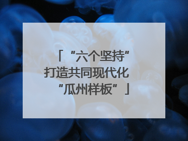 “六个坚持”打造共同现代化“瓜州样板”