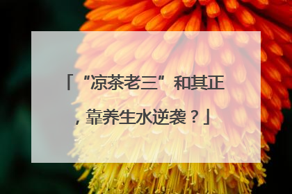 “凉茶老三”和其正，靠养生水逆袭？