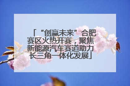 “创赢未来”合肥赛区火热开赛，聚焦新能源汽车赛道助力长三角一体化发展