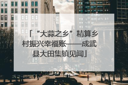 “大蒜之乡”精算乡村振兴幸福账——成武县大田集镇见闻