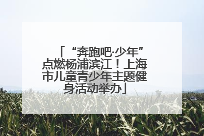 “奔跑吧·少年”点燃杨浦滨江！上海市儿童青少年主题健身活动举办