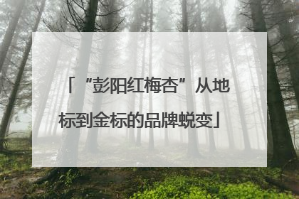 “彭阳红梅杏”从地标到金标的品牌蜕变