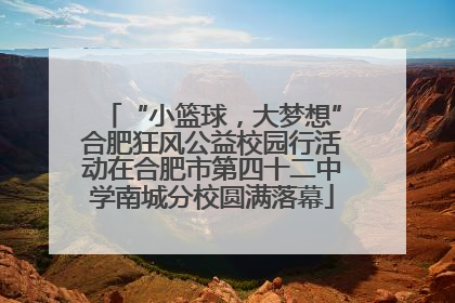 “小篮球，大梦想”合肥狂风公益校园行活动在合肥市第四十二中学南城分校圆满落幕