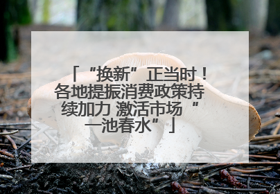 “换新”正当时！各地提振消费政策持续加力 激活市场“一池春水”