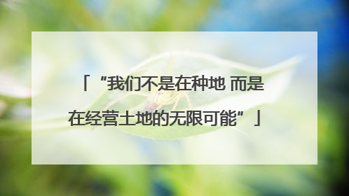 “我们不是在种地 而是在经营土地的无限可能”