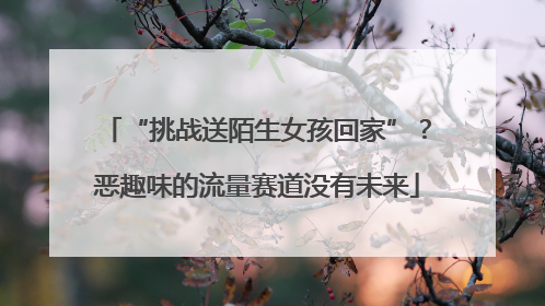 “挑战送陌生女孩回家”？恶趣味的流量赛道没有未来