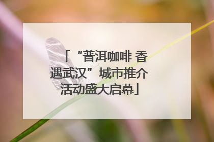 “普洱咖啡 香遇武汉”城市推介活动盛大启幕
