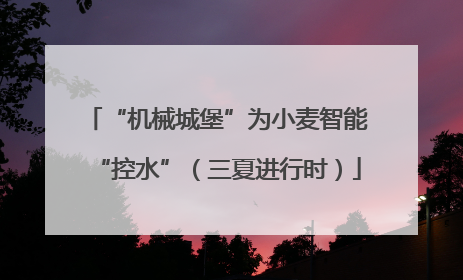 “机械城堡”为小麦智能“控水”（三夏进行时）