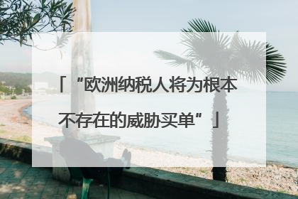 “欧洲纳税人将为根本不存在的威胁买单”