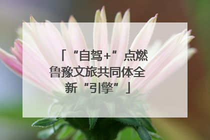 “自驾+”点燃鲁豫文旅共同体全新“引擎”