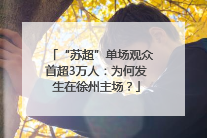 “苏超”单场观众首超3万人：为何发生在徐州主场？