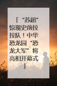 “苏超”惊现史前拉拉队！中华恐龙园“恐龙大军”将亮相开幕式