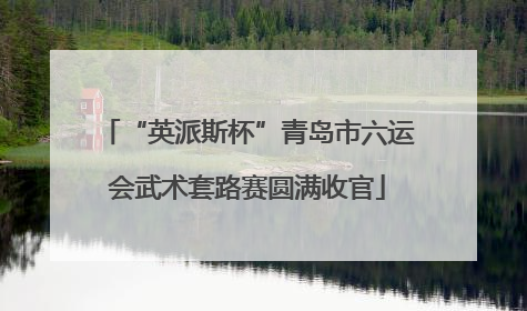 “英派斯杯”青岛市六运会武术套路赛圆满收官