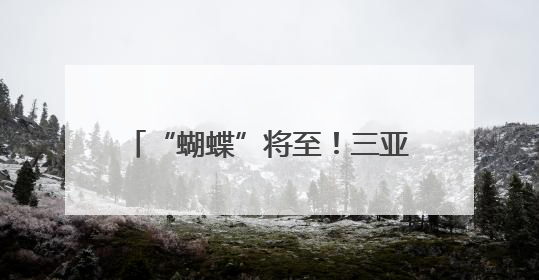 “蝴蝶”将至！三亚此类项目已暂停营业