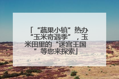 “蔬果小镇”热办“玉米奇遇季”，玉米田里的“迷宫王国”等您来探索
