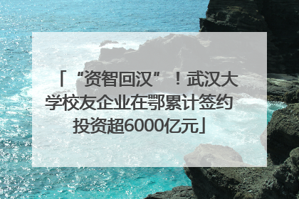 “资智回汉”！武汉大学校友企业在鄂累计签约投资超6000亿元