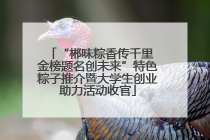 “郴味粽香传千里 金榜题名创未来”特色粽子推介暨大学生创业助力活动收官