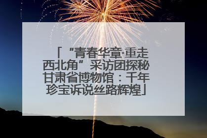 “青春华章·重走西北角”采访团探秘甘肃省博物馆：千年珍宝诉说丝路辉煌